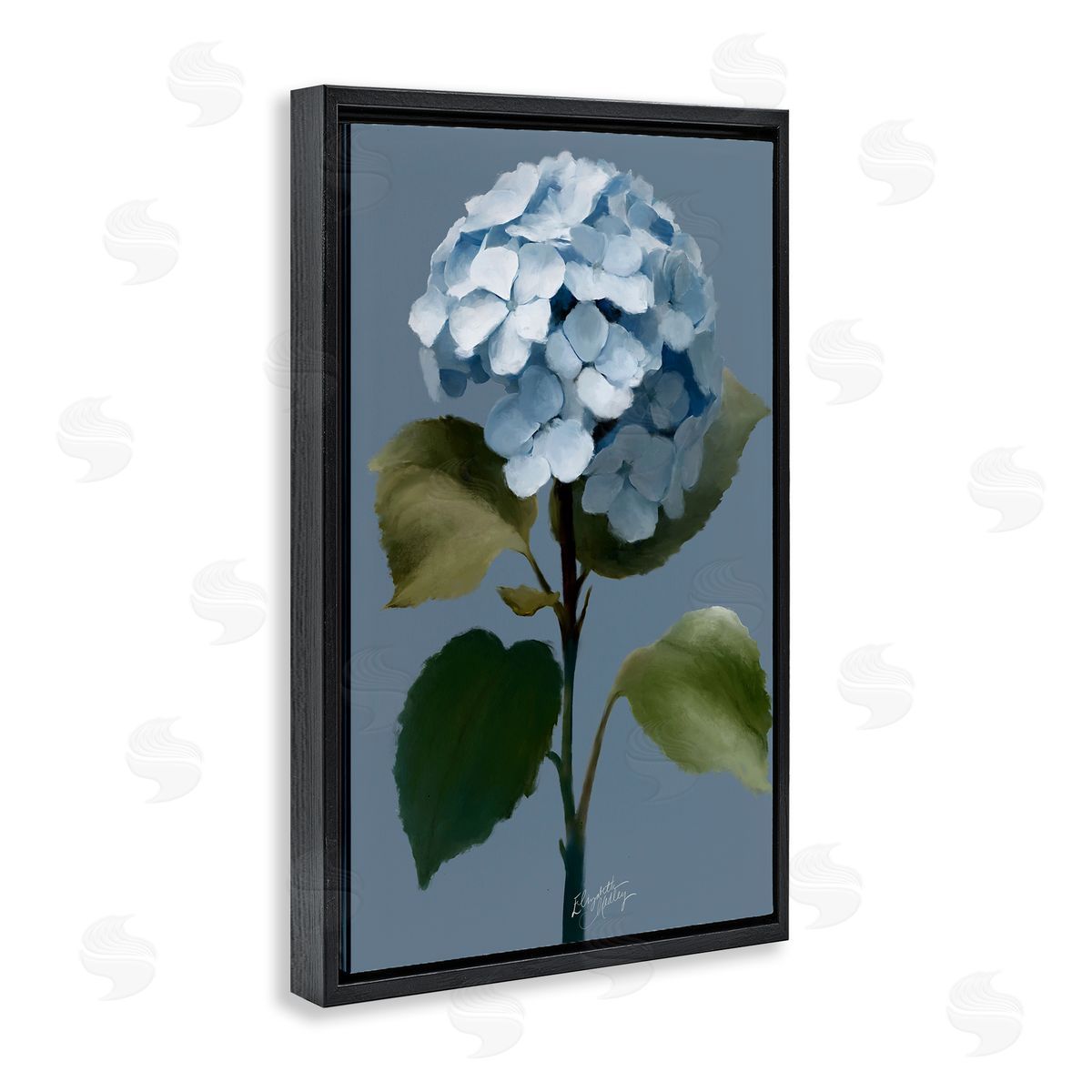 Elizabeth Medley Delicate Blue Hydrangea Black Floating Frame Canvas Wall Art Print