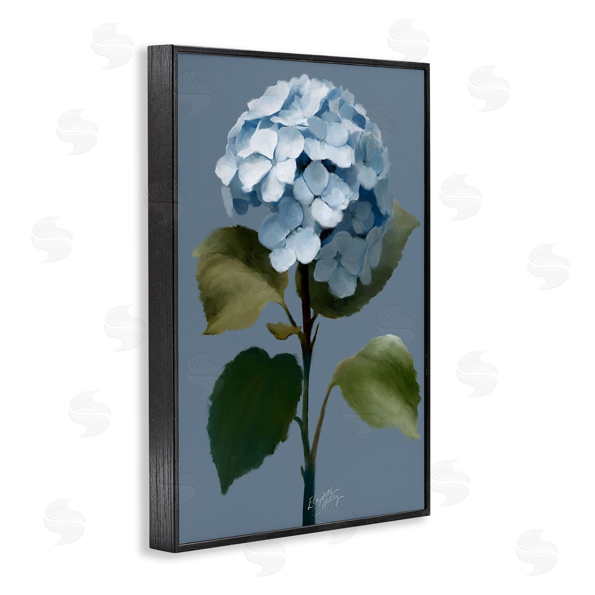 Elizabeth Medley Delicate Blue Hydrangea Black Framed Giclee Wall Art Print