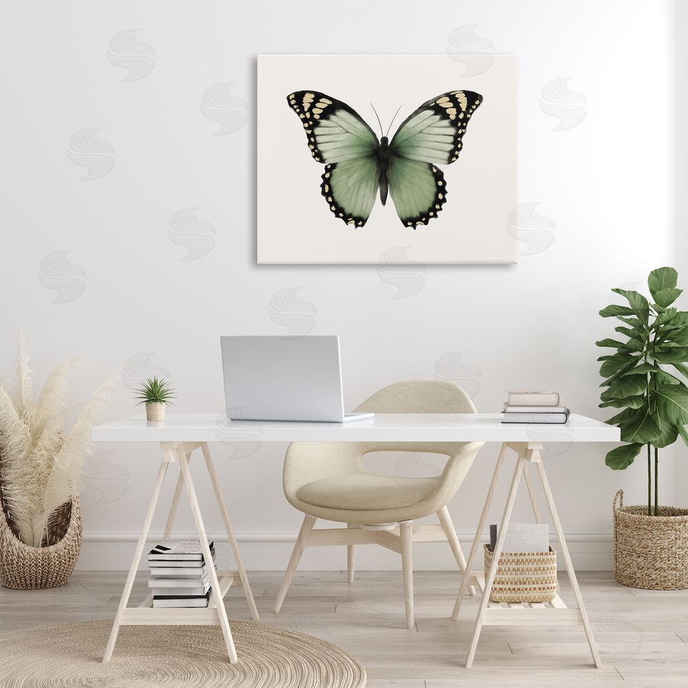 Elizabeth Medley Green Symmetrical Butterfly Canvas Wall Art Print in Room