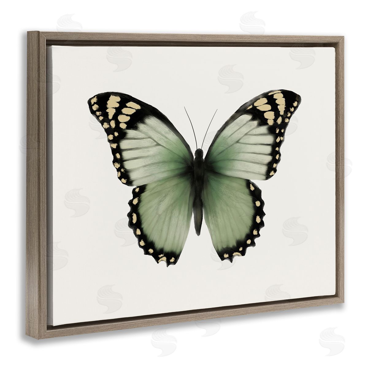 Elizabeth Medley Green Symmetrical Butterfly Brown Floating Frame Canvas Wall Art Print