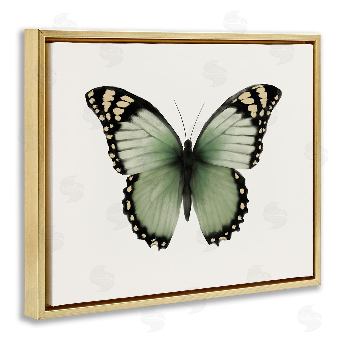 Elizabeth Medley Green Symmetrical Butterfly Gold Floating Frame Canvas Wall Art Print