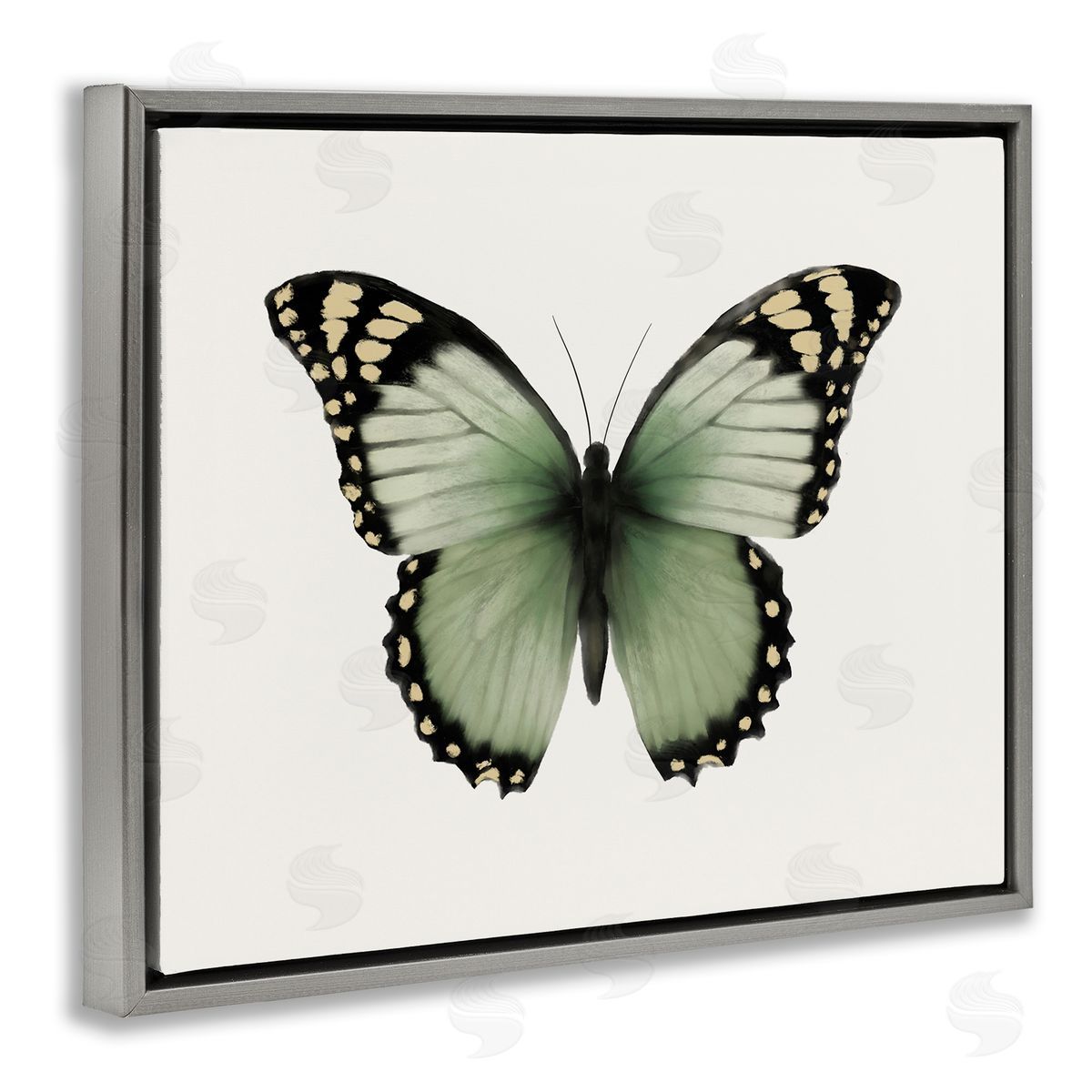 Elizabeth Medley Green Symmetrical Butterfly Gray Floating Frame Canvas Wall Art Print