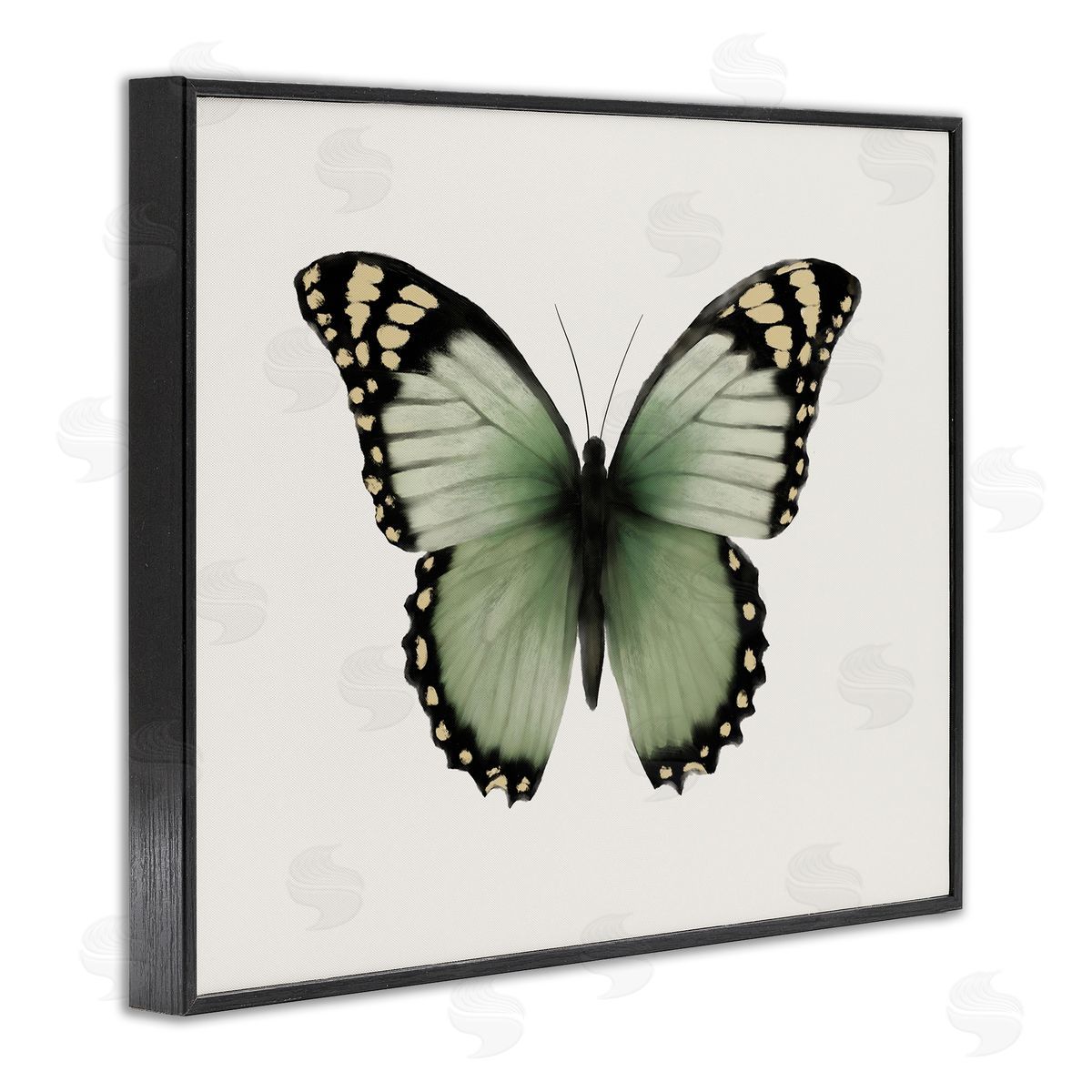 Elizabeth Medley Green Symmetrical Butterfly Black Framed Giclee Wall Art Print