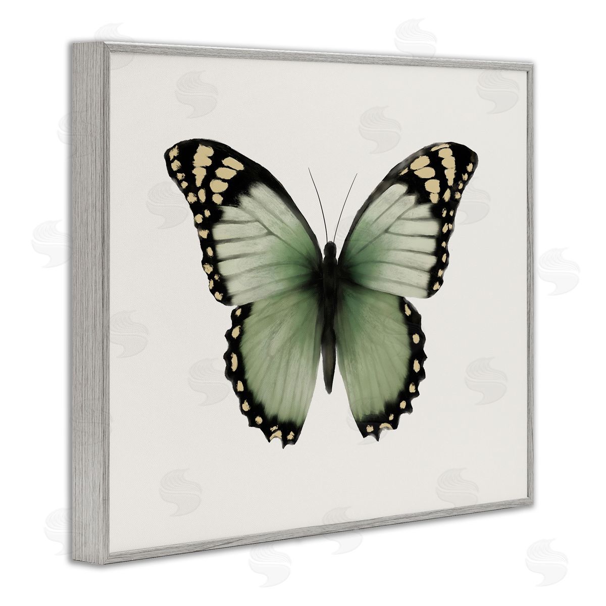 Elizabeth Medley Green Symmetrical Butterfly Gray Framed Giclee Wall Art Print