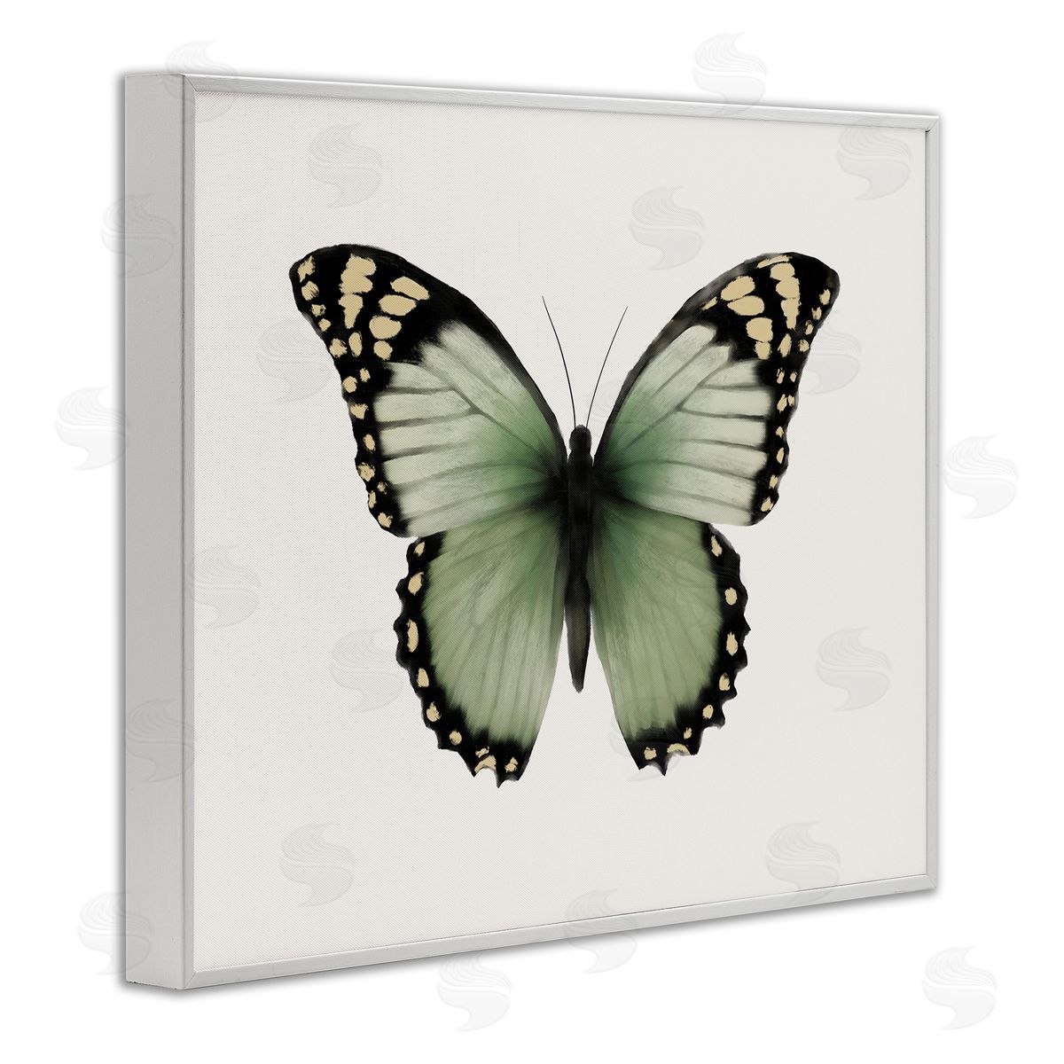 Elizabeth Medley Green Symmetrical Butterfly White Framed Giclee Wall Art Print