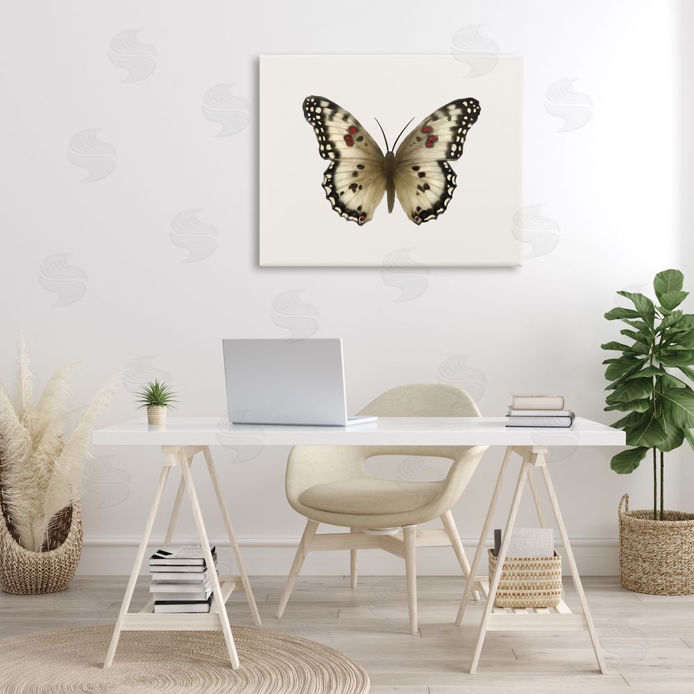 Elizabeth Medley Tan Symmetrical Butterfly Canvas Wall Art Print in Room
