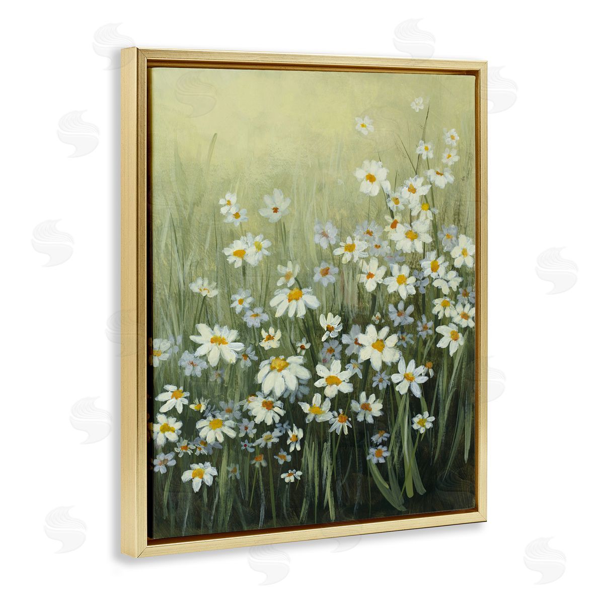 Lanie Loreth Daisy Field Garden Gold Floating Frame Canvas Wall Art Print