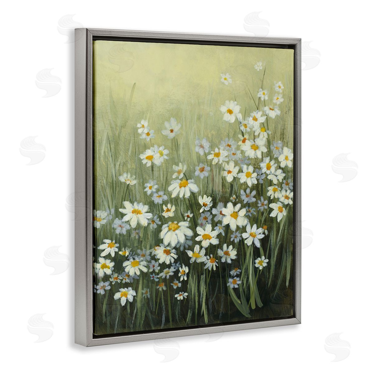Lanie Loreth Daisy Field Garden Gray Floating Frame Canvas Wall Art Print