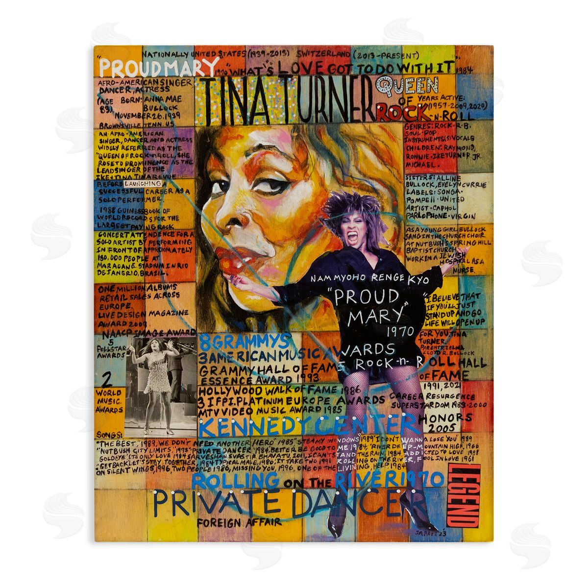 Sabin Tina Turner Collage Canvas Wall Art Print