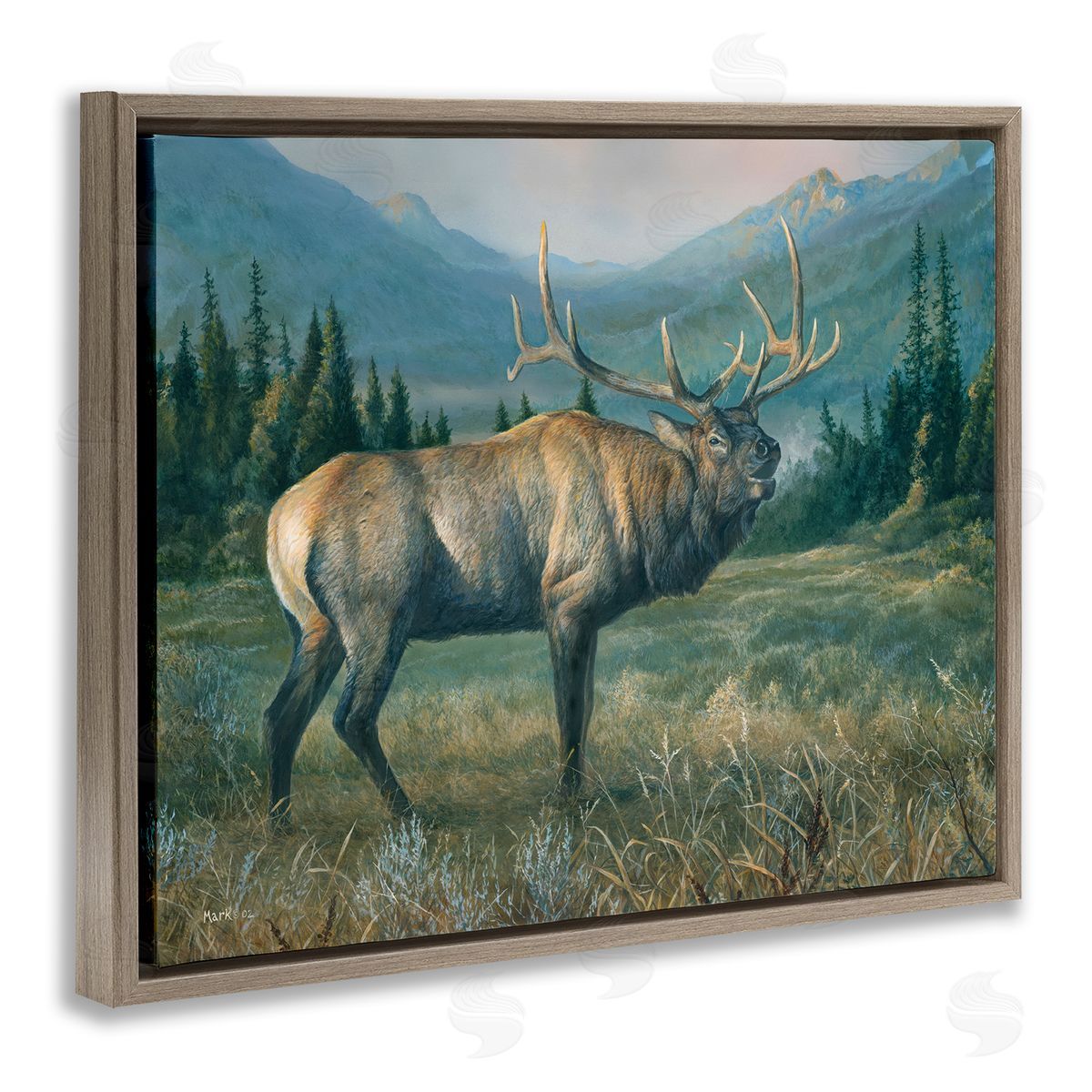 Laura Mark-Finberg Powerful Elk in Field Brown Floating Frame Canvas Wall Art Print