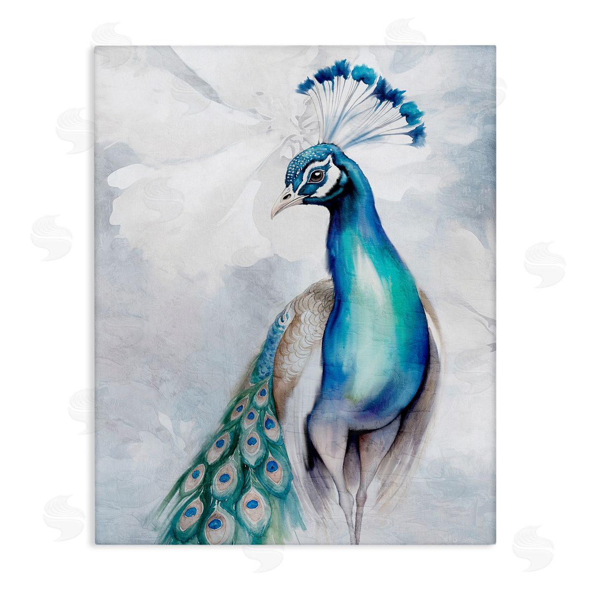 Kim Allen Soft Elegant Peacock Portrait Canvas Wall Art Print