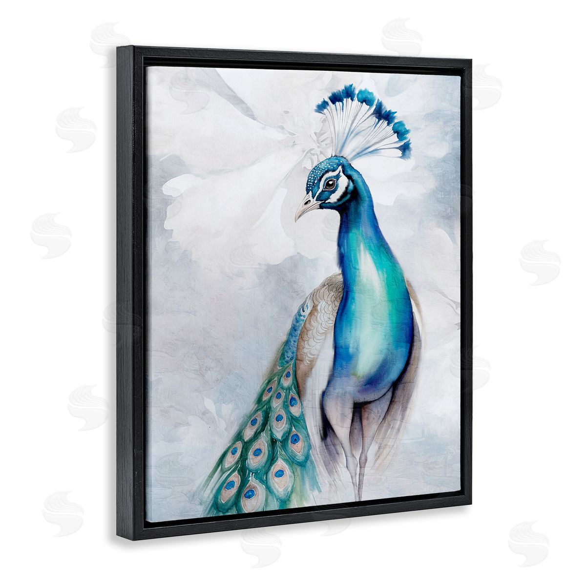 Kim Allen Soft Elegant Peacock Portrait Black Floating Frame Canvas Wall Art Print