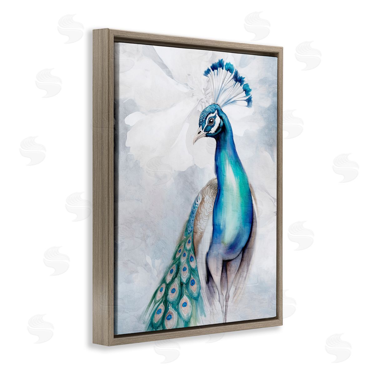 Kim Allen Soft Elegant Peacock Portrait Brown Floating Frame Canvas Wall Art Print