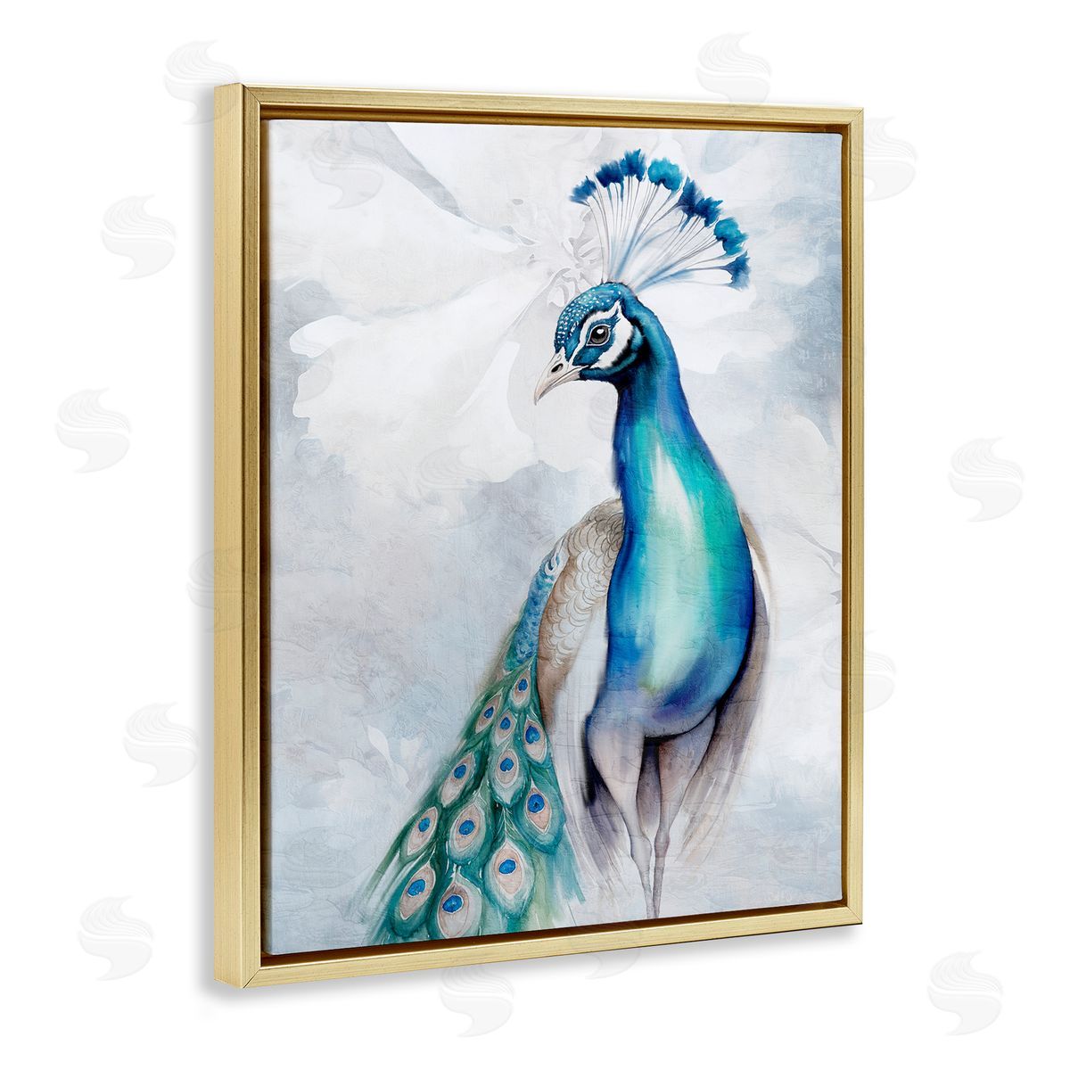 Kim Allen Soft Elegant Peacock Portrait Gold Floating Frame Canvas Wall Art Print