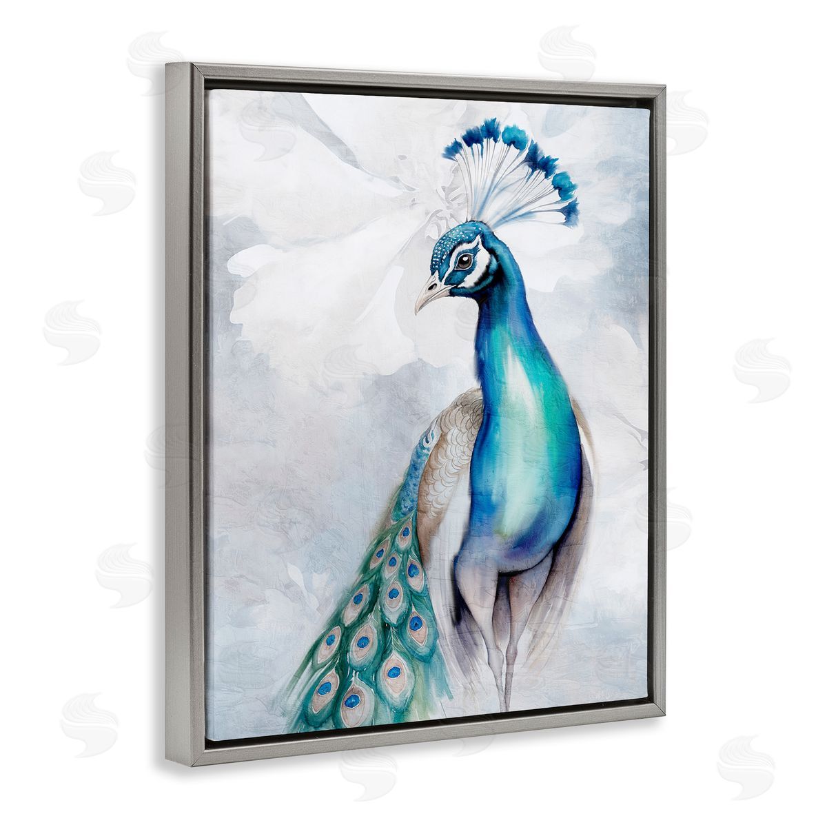 Kim Allen Soft Elegant Peacock Portrait Gray Floating Frame Canvas Wall Art Print