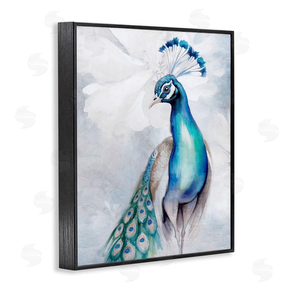 Kim Allen Soft Elegant Peacock Portrait Black Framed Giclee Wall Art Print