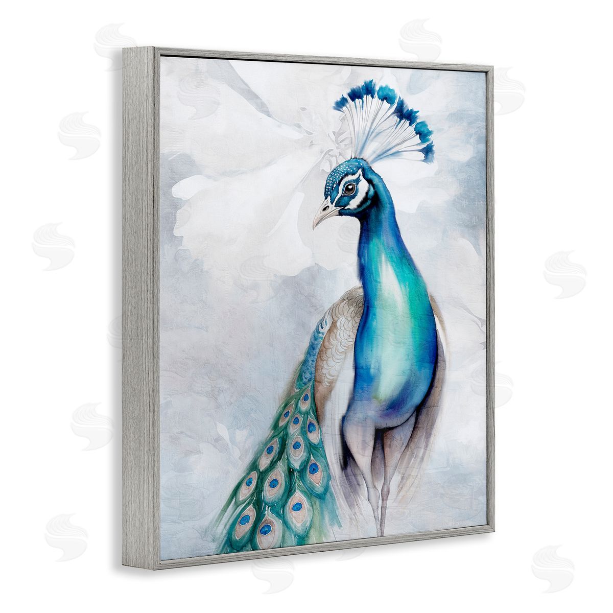 Kim Allen Soft Elegant Peacock Portrait Gray Framed Giclee Wall Art Print