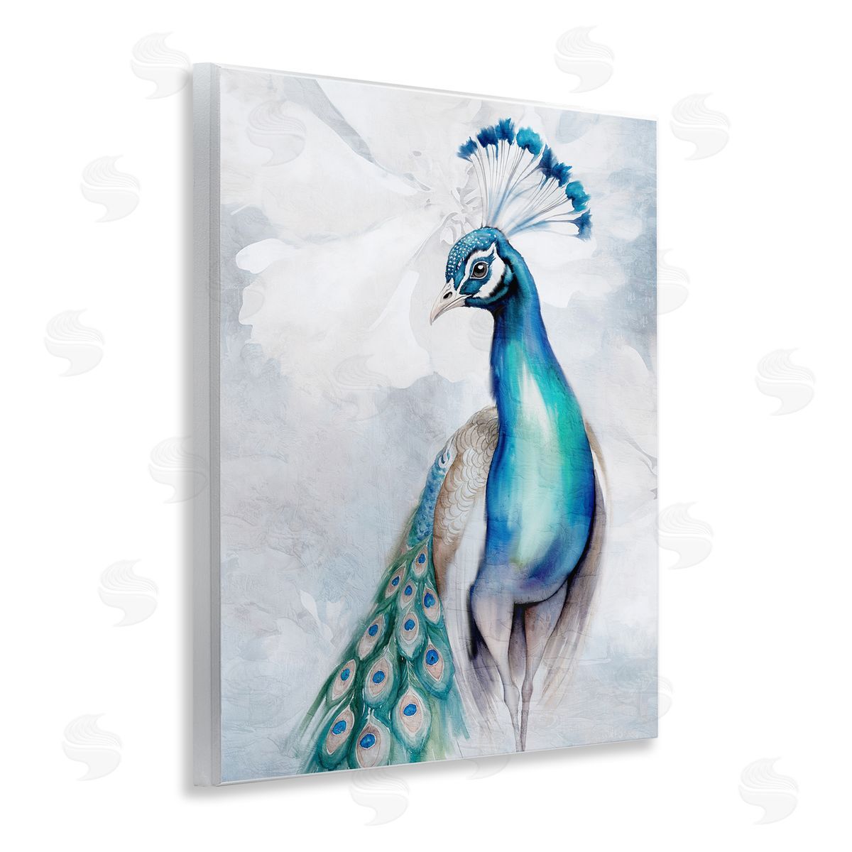 Kim Allen Soft Elegant Peacock Portrait Wooden Wall Plaque Art Print