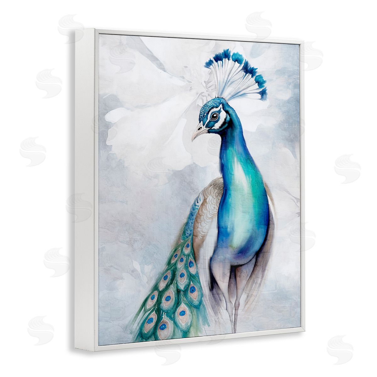 Kim Allen Soft Elegant Peacock Portrait White Framed Giclee Wall Art Print