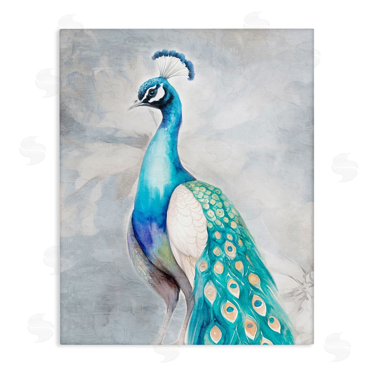 Kim Allen Elegant Blue Peacock Canvas Wall Art Print