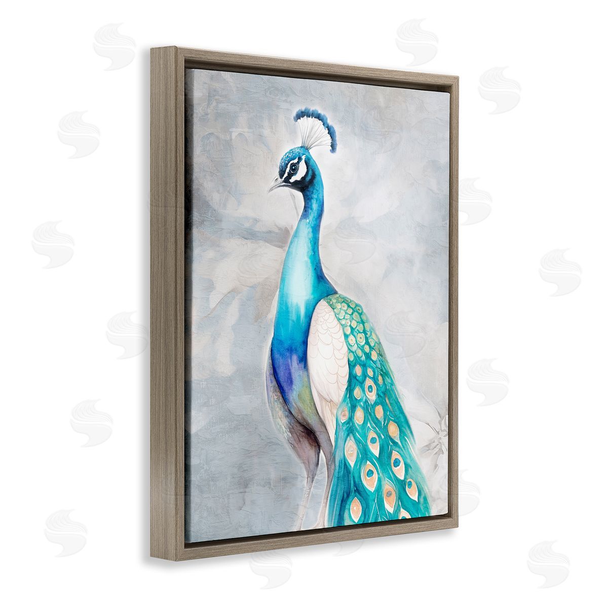Kim Allen Elegant Blue Peacock Brown Floating Frame Canvas Wall Art Print