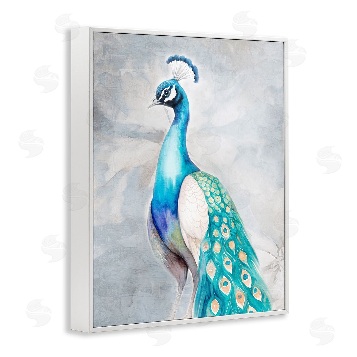 Kim Allen Elegant Blue Peacock White Framed Giclee Wall Art Print