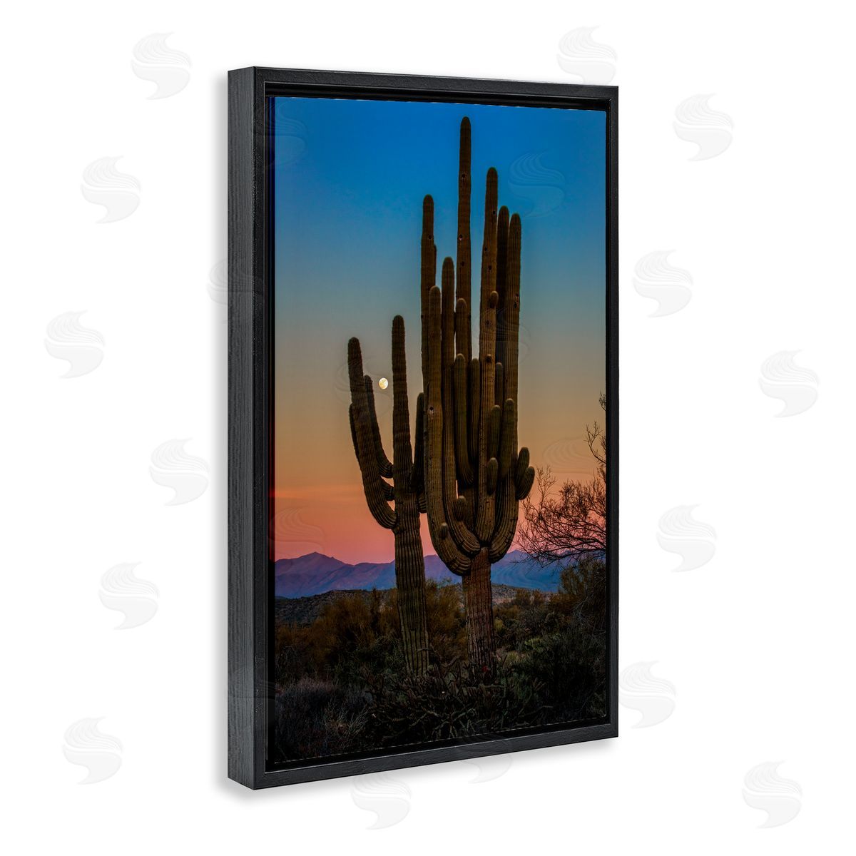 Rick Berk Silhouetted Cacti with Moon Black Floating Frame Canvas Wall Art Print