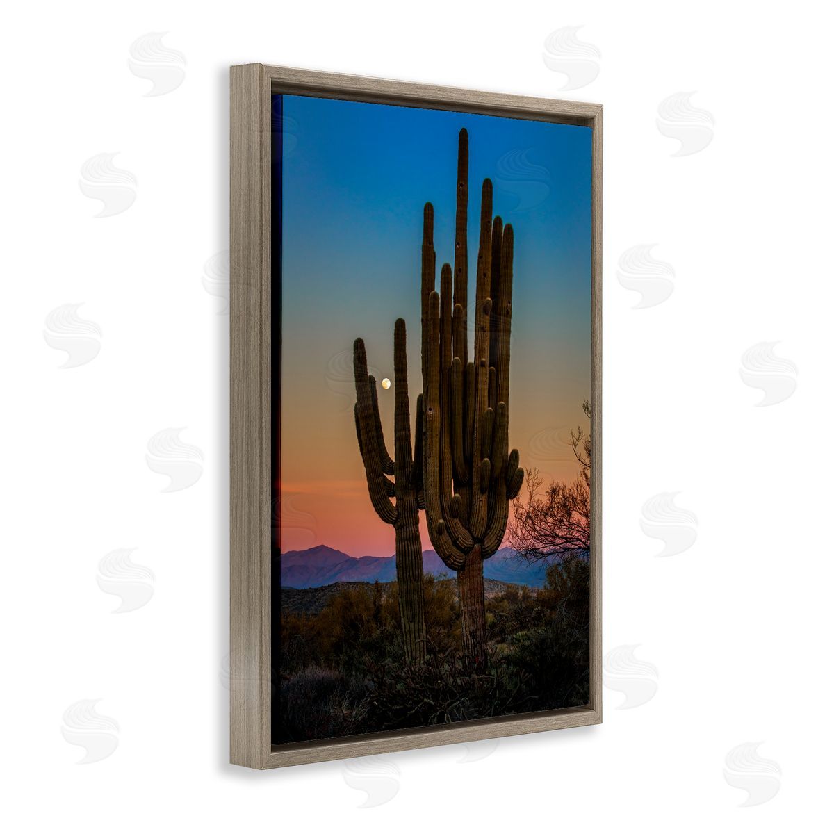 Rick Berk Silhouetted Cacti with Moon Brown Floating Frame Canvas Wall Art Print