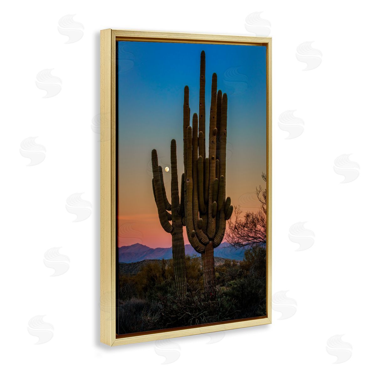 Rick Berk Silhouetted Cacti with Moon Gold Floating Frame Canvas Wall Art Print