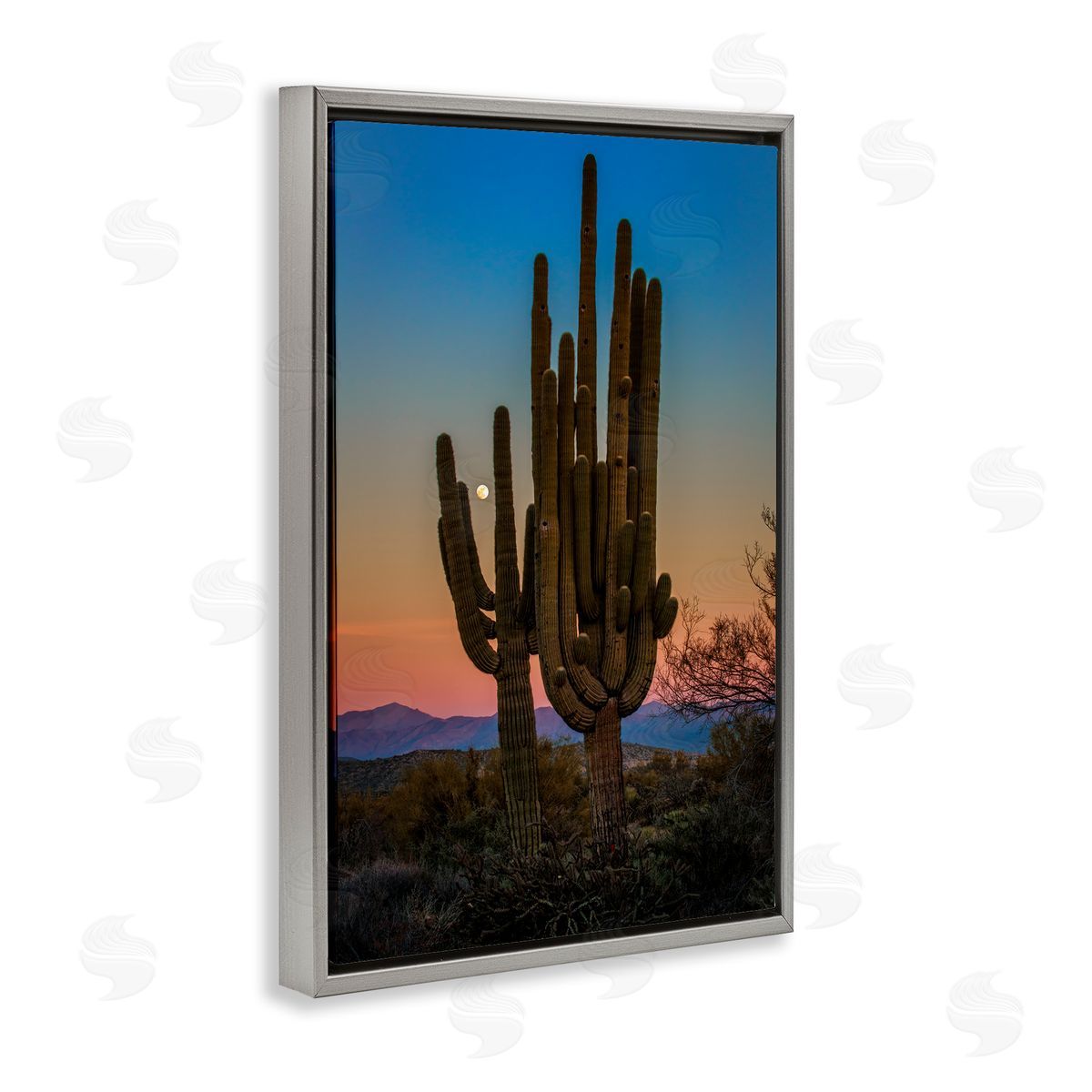 Rick Berk Silhouetted Cacti with Moon Gray Floating Frame Canvas Wall Art Print