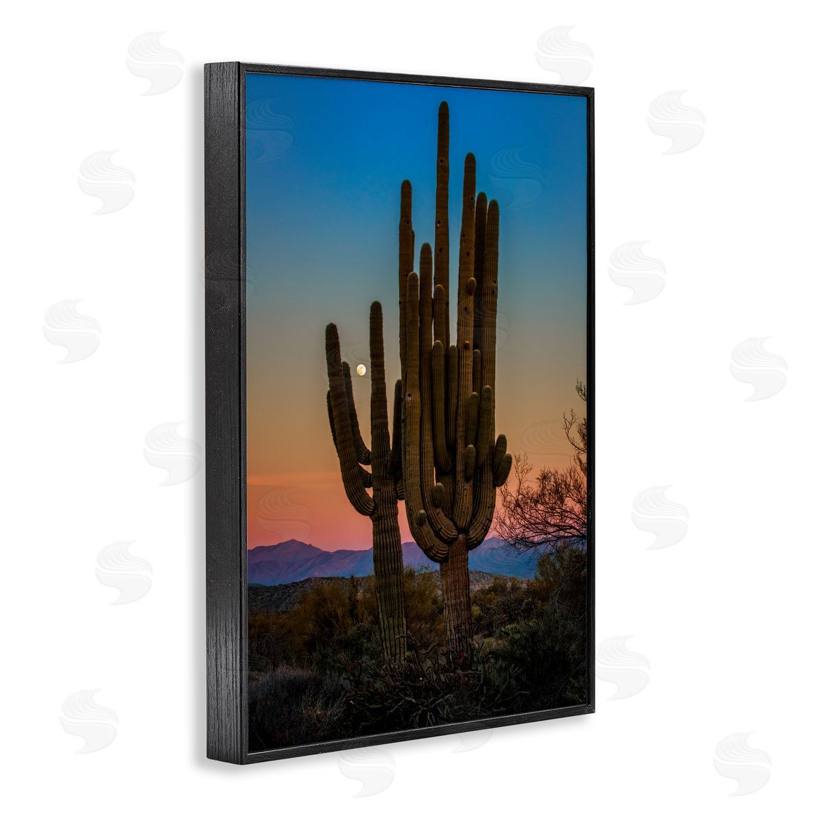 Rick Berk Silhouetted Cacti with Moon Black Framed Giclee Wall Art Print