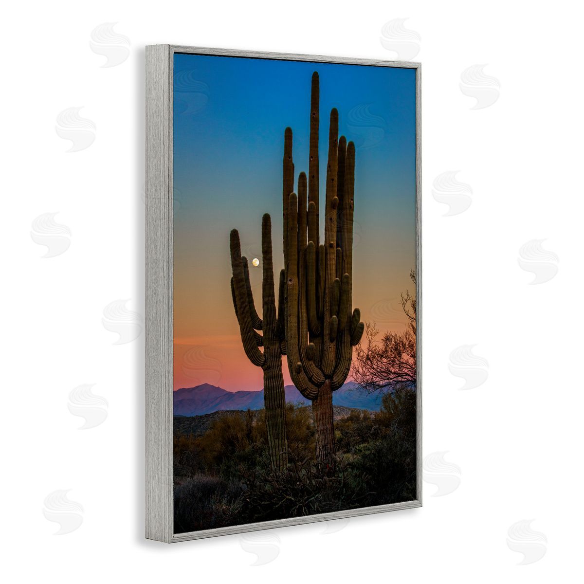Rick Berk Silhouetted Cacti with Moon Gray Framed Giclee Wall Art Print