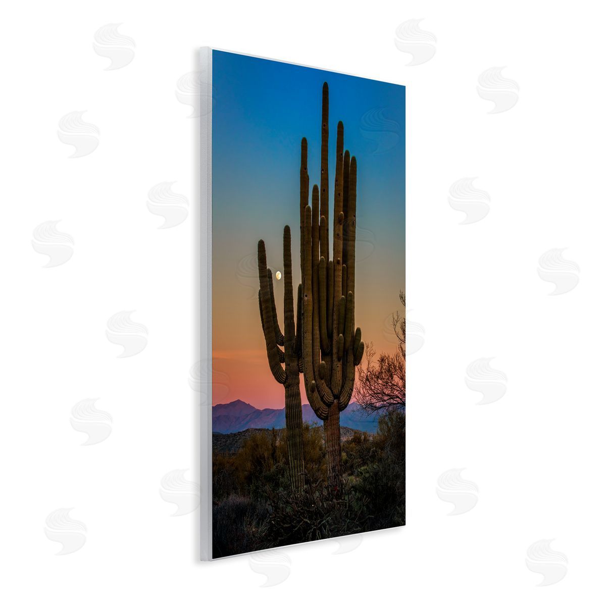 Rick Berk Silhouetted Cacti with Moon Wooden Wall Plaque Art Print
