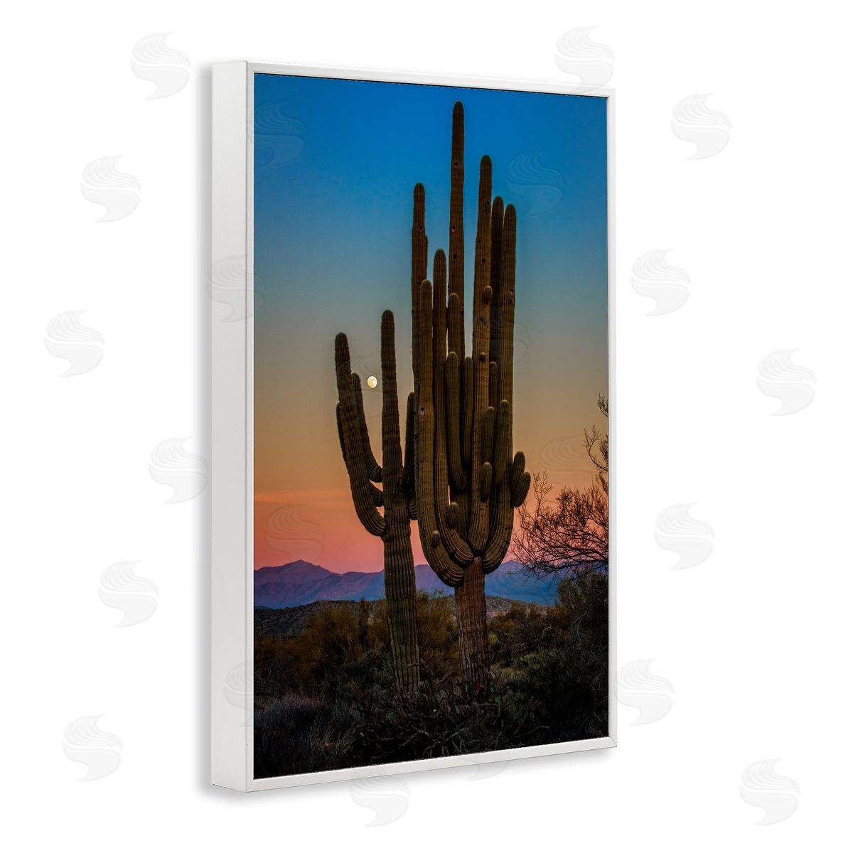 Rick Berk Silhouetted Cacti with Moon White Framed Giclee Wall Art Print