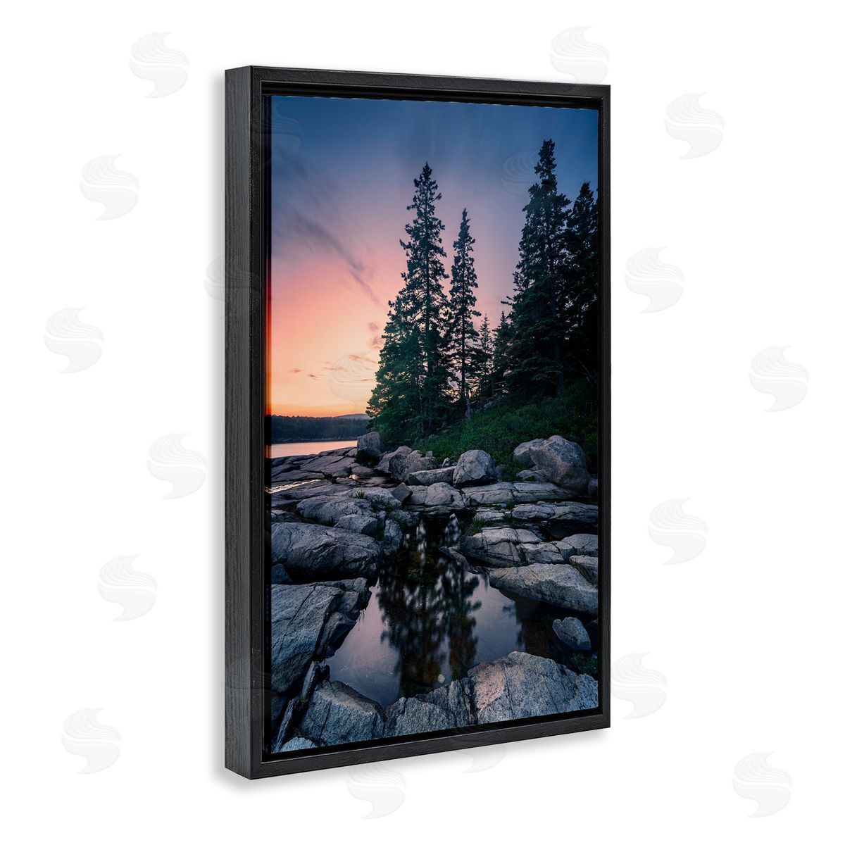 Rick Berk Trees Reflected in Tide Pool Black Floating Frame Canvas Wall Art Print