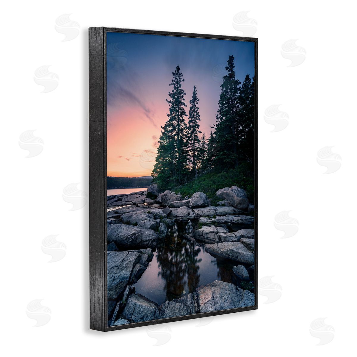Rick Berk Trees Reflected in Tide Pool Black Framed Giclee Wall Art Print