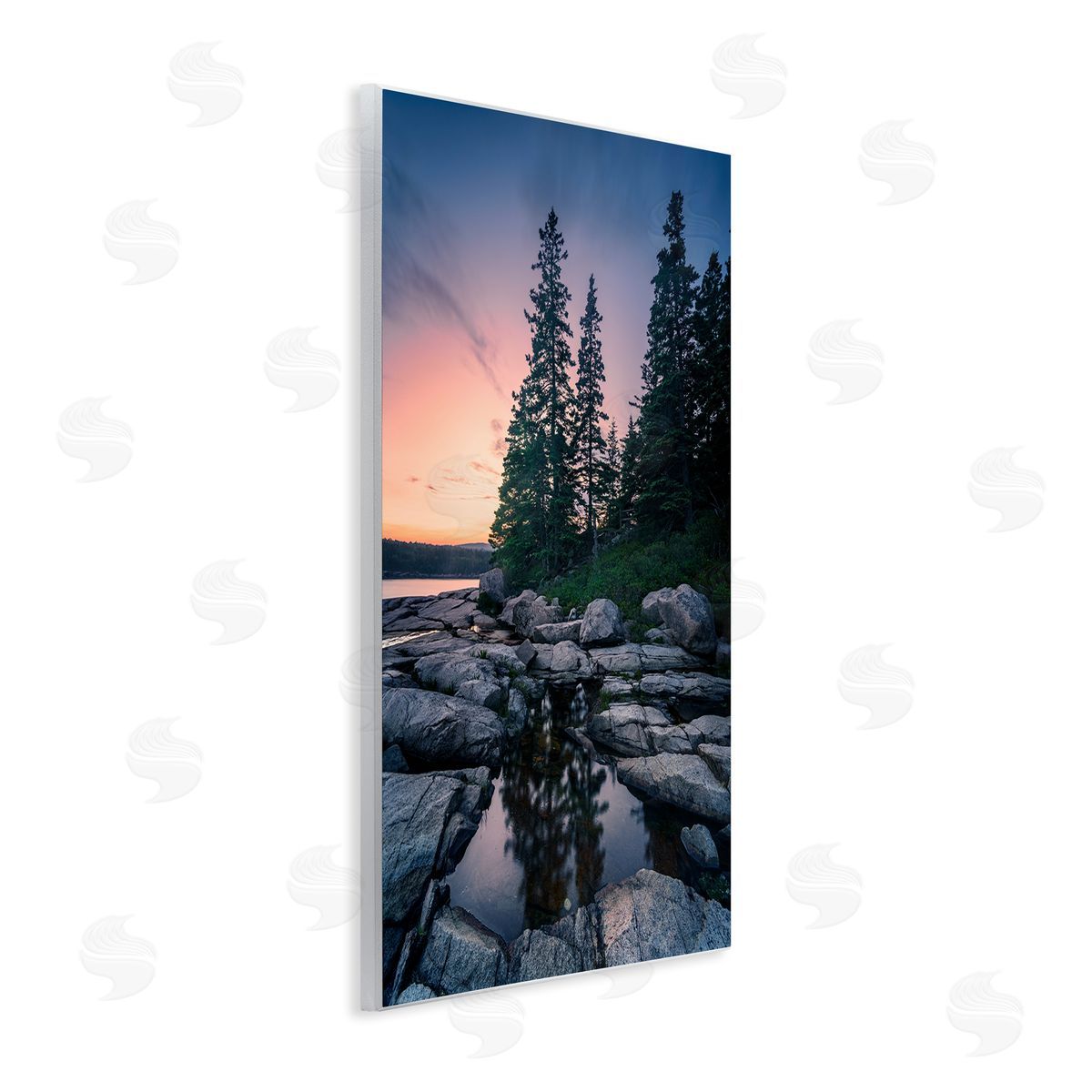Rick Berk Trees Reflected in Tide Pool Wooden Wall Plaque Art Print