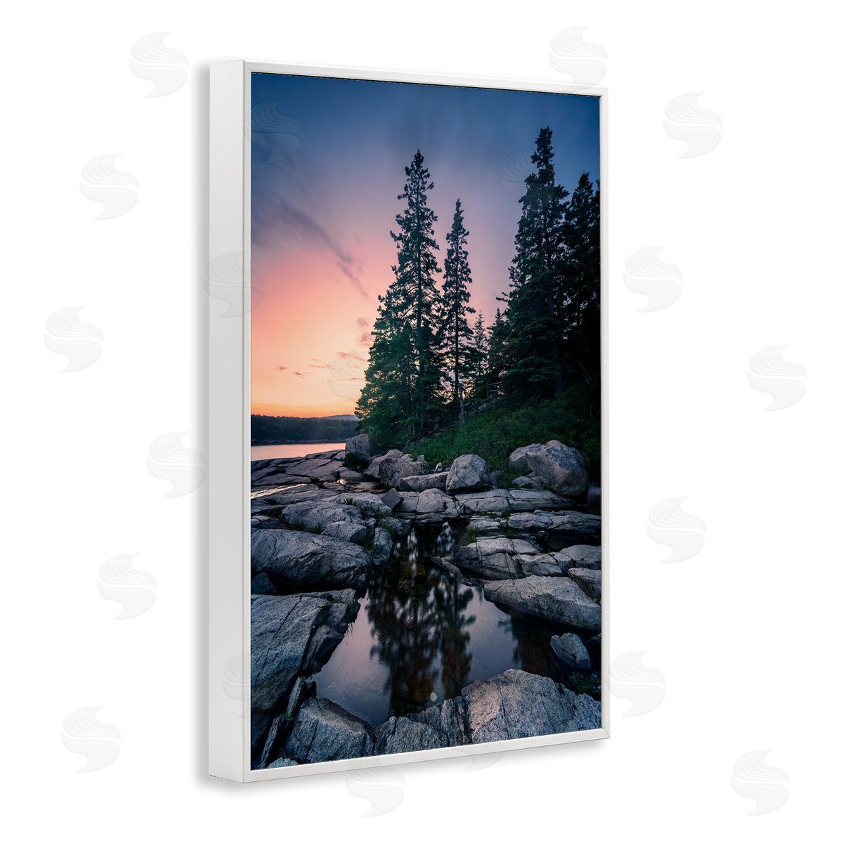 Rick Berk Trees Reflected in Tide Pool White Framed Giclee Wall Art Print