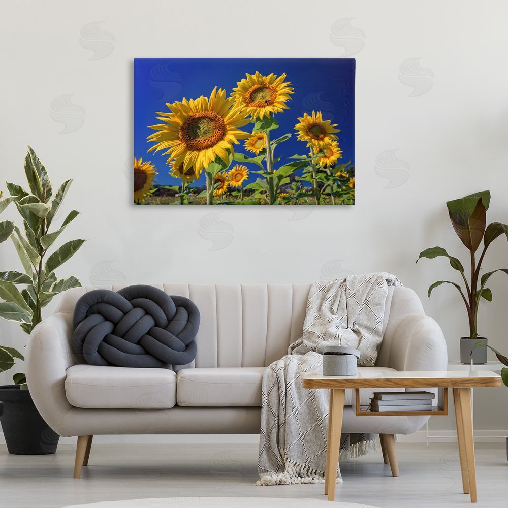 Rick Berk Bright Sunflowers with Blue Sky Canvas Wall Art Print in Room