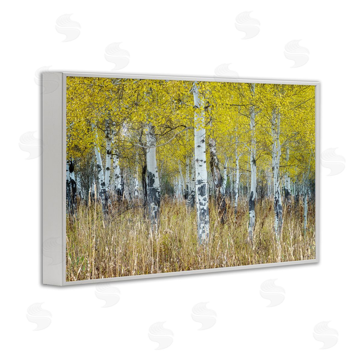 Rick Berk Dense Birch Trees White Framed Giclee Wall Art Print