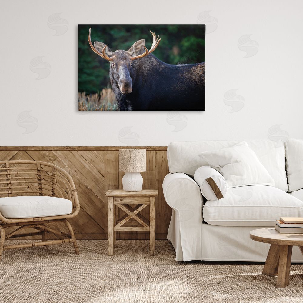 Rick Berk Stoic Elk Portrait Canvas Wall Art Print in Room