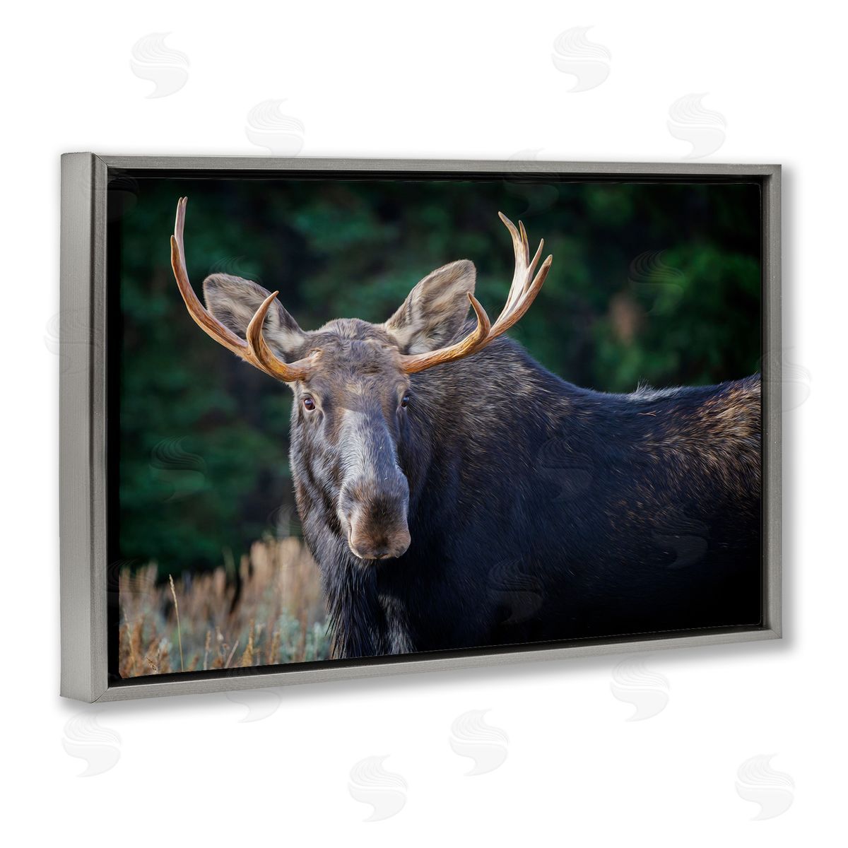 Rick Berk Stoic Elk Portrait Gray Floating Frame Canvas Wall Art Print
