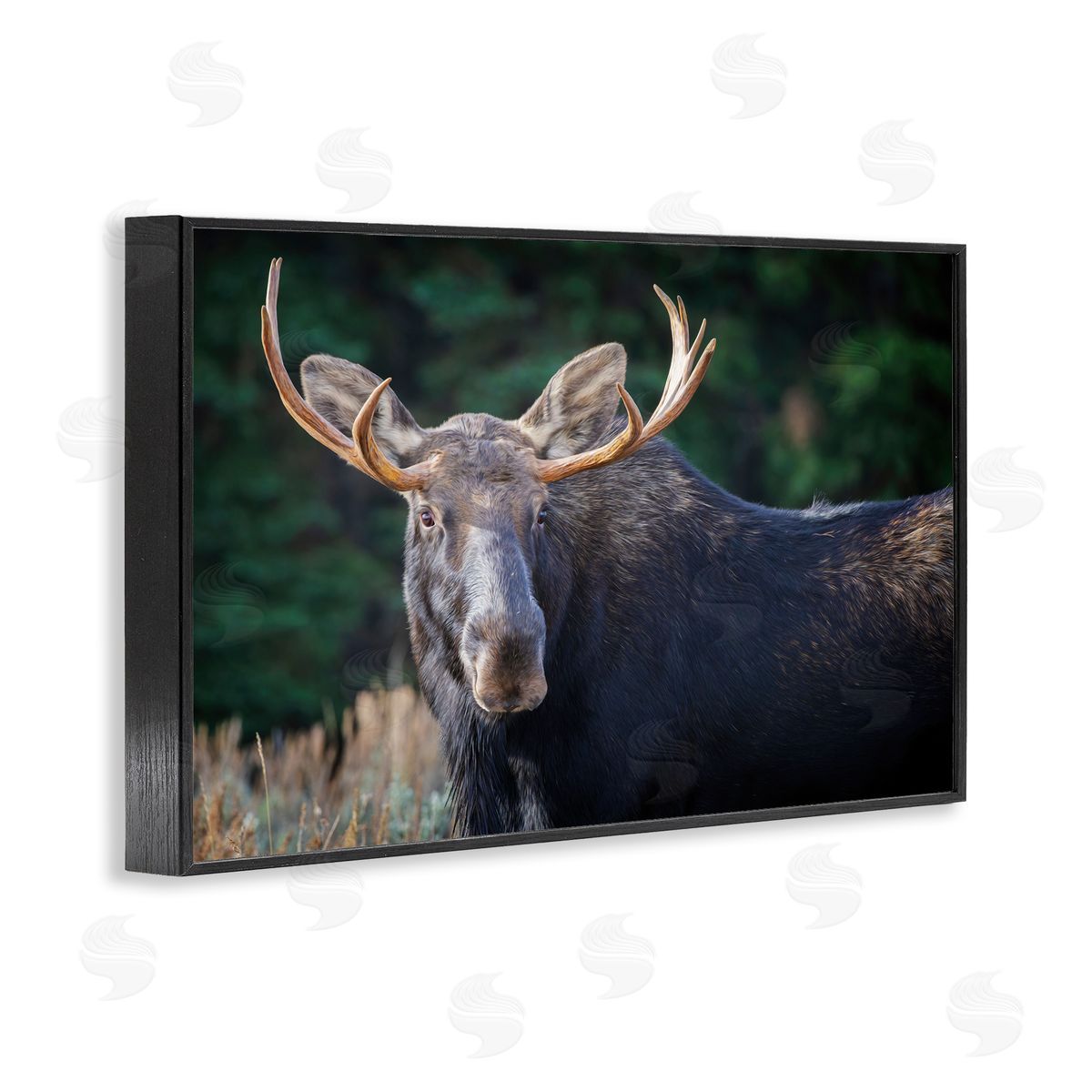 Rick Berk Stoic Elk Portrait Black Framed Giclee Wall Art Print