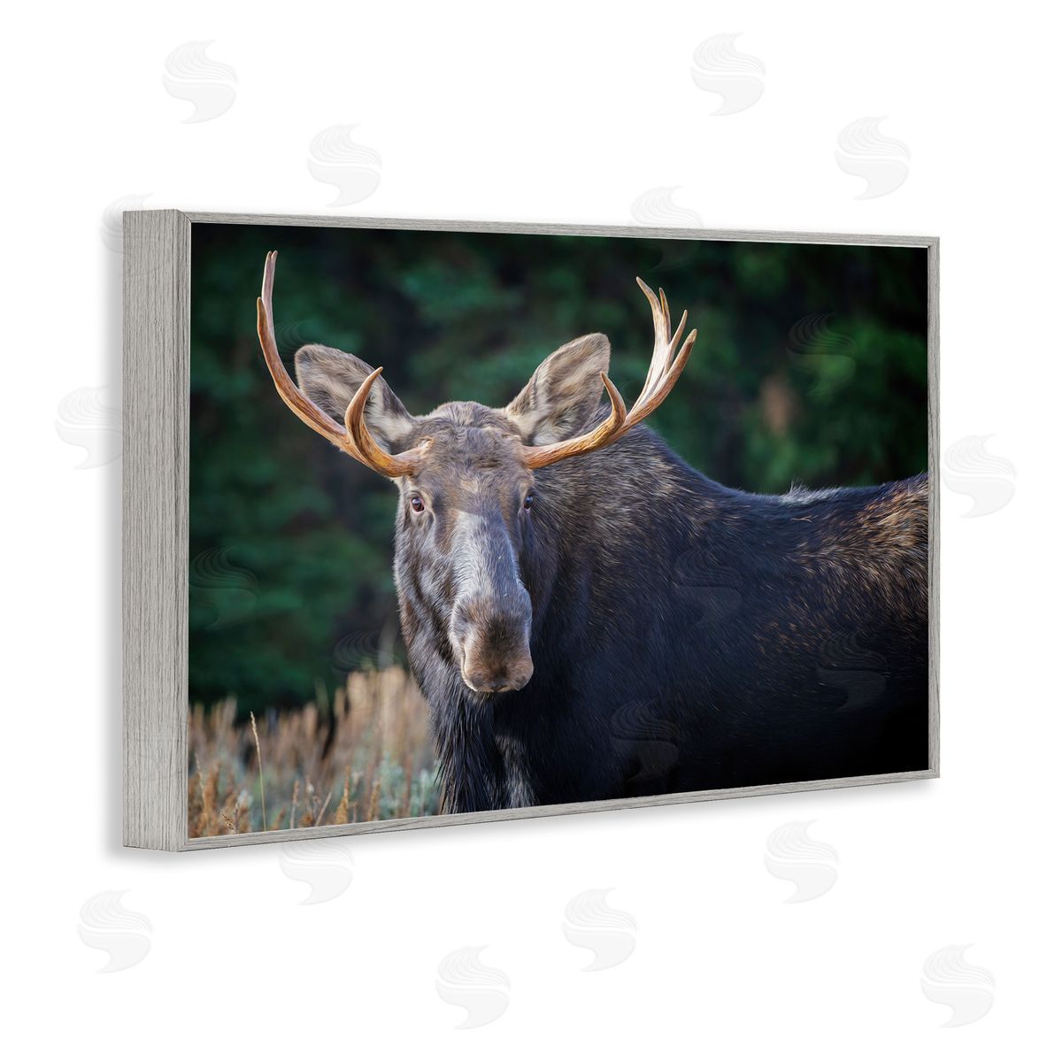 Rick Berk Stoic Elk Portrait Gray Framed Giclee Wall Art Print