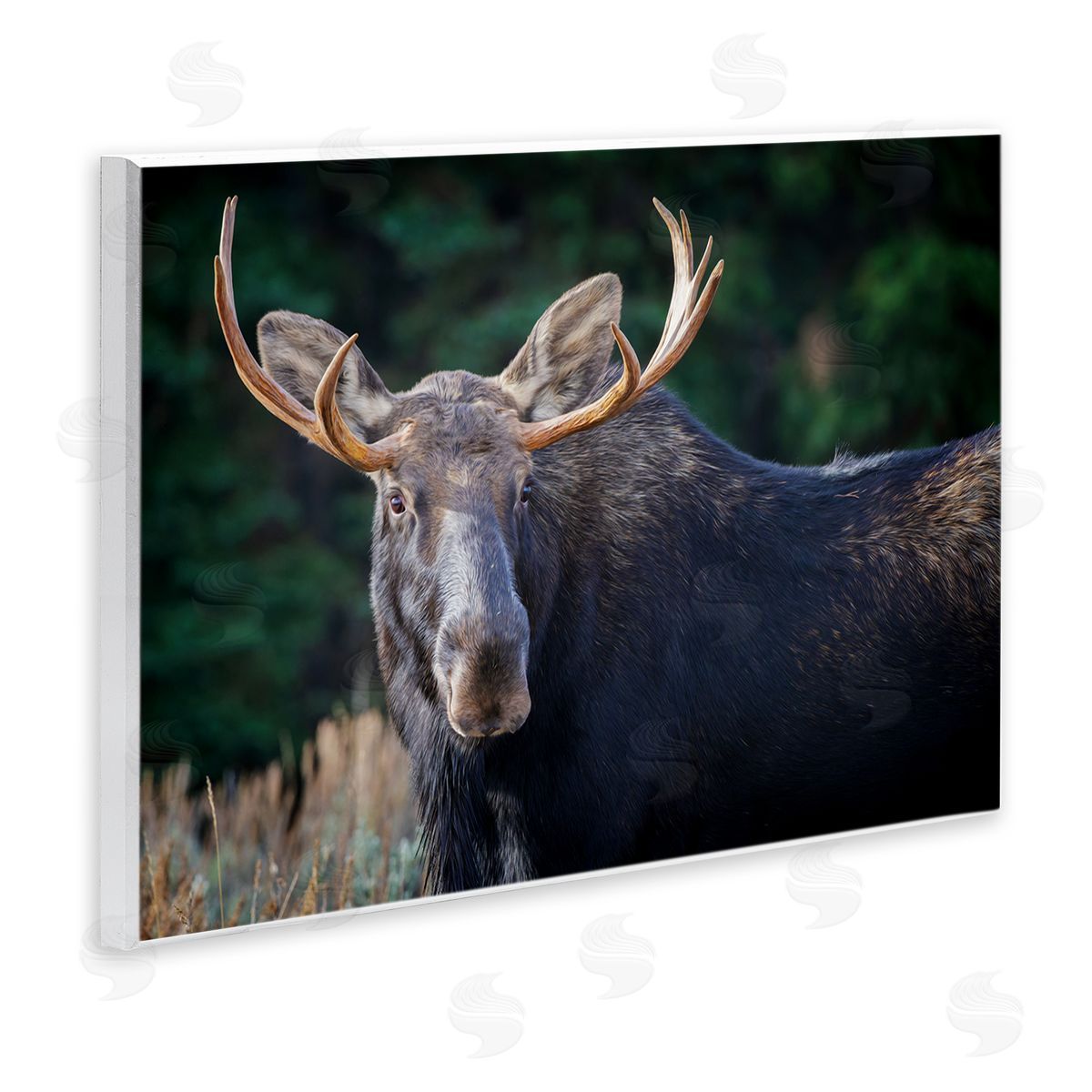 Rick Berk Stoic Elk Portrait Wooden Wall Plaque Art Print