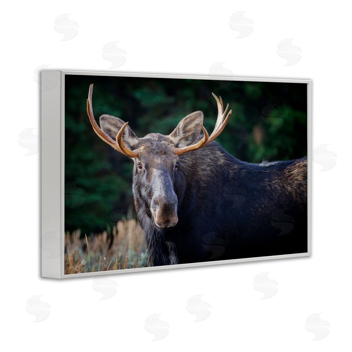 Rick Berk Stoic Elk Portrait White Framed Giclee Wall Art Print