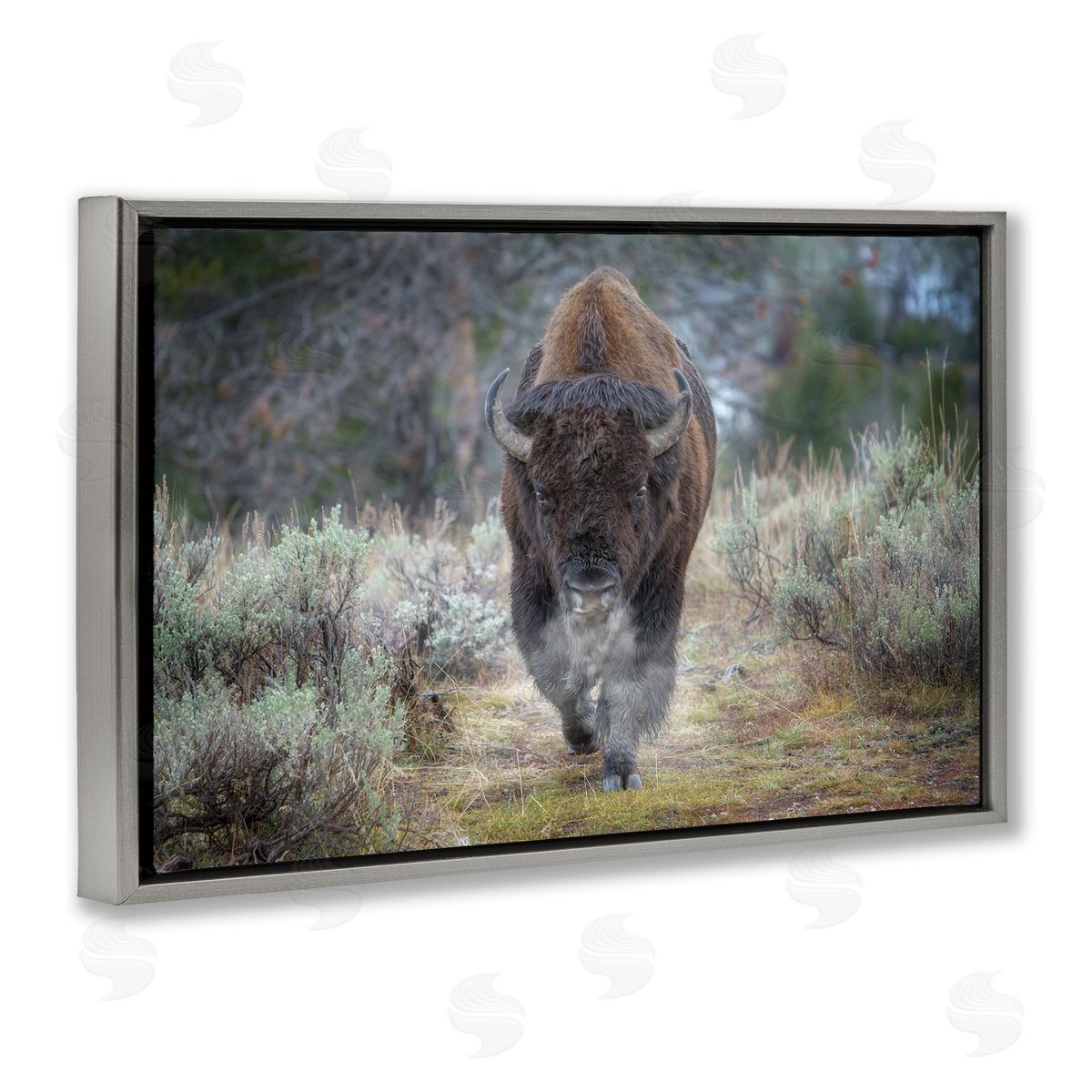 Rick Berk Bison Stepping Photography Gray Floating Frame Canvas Wall Art Print
