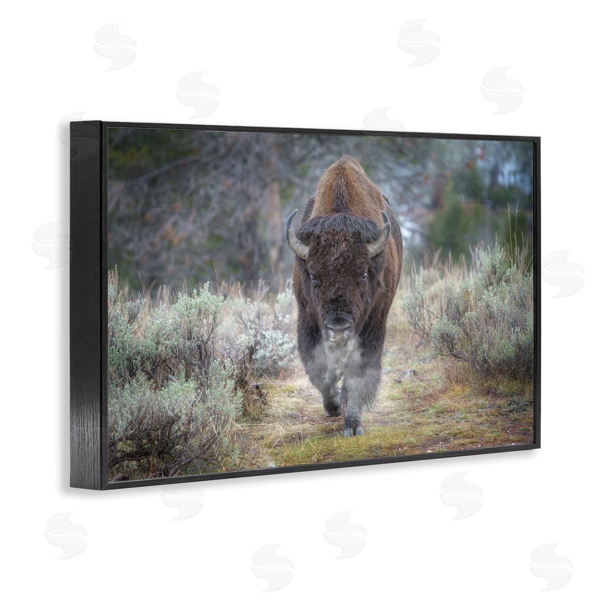 Rick Berk Bison Stepping Photography Black Framed Giclee Wall Art Print