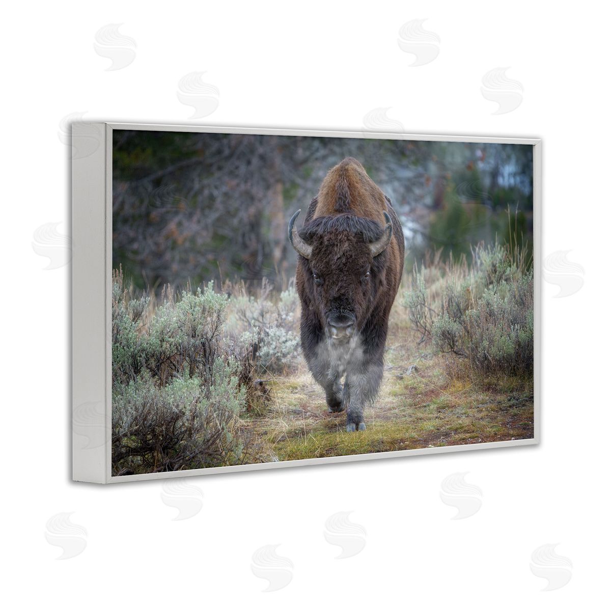 Rick Berk Bison Stepping Photography White Framed Giclee Wall Art Print