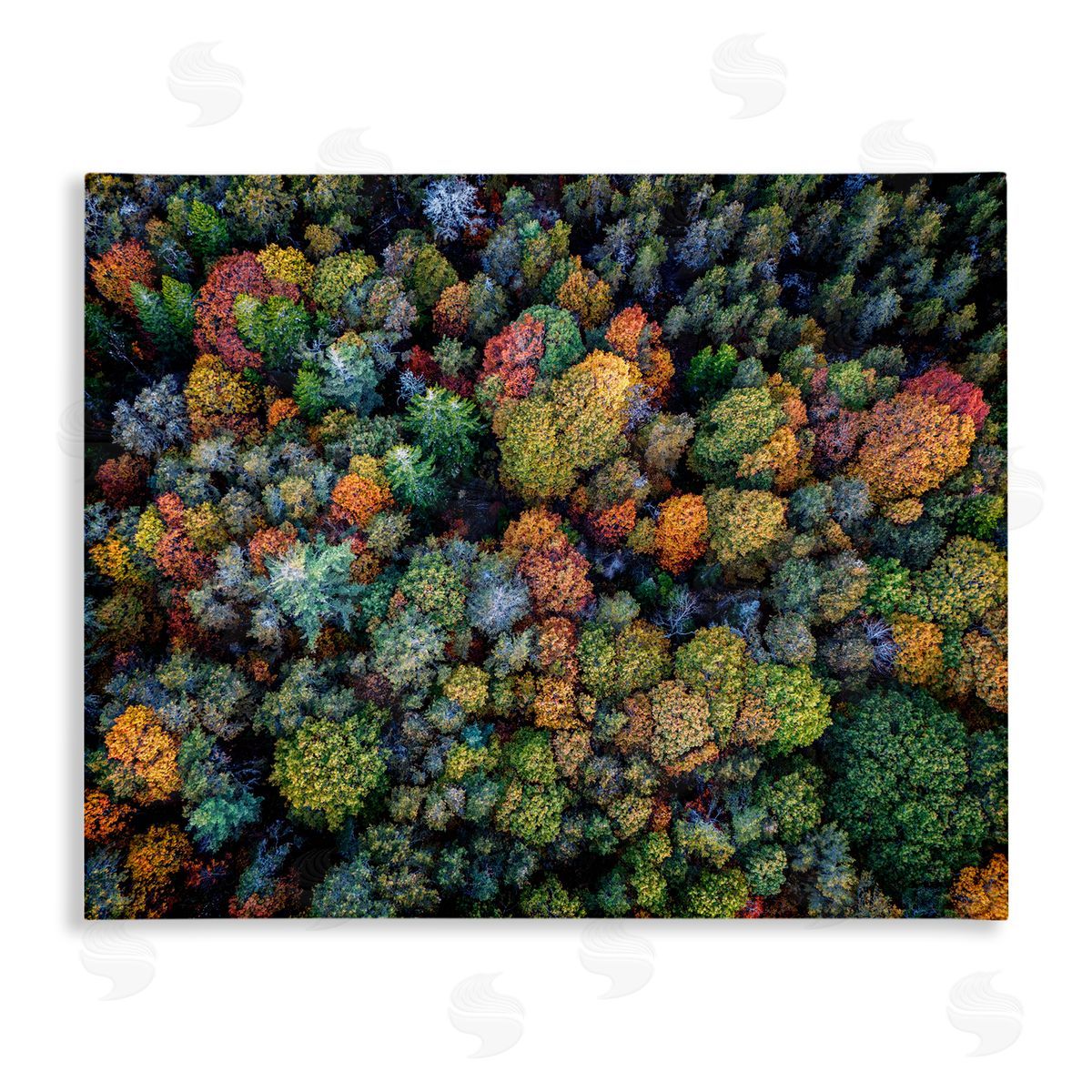 Rick Berk Aerial View Autumnal Foliage Canvas Wall Art Print